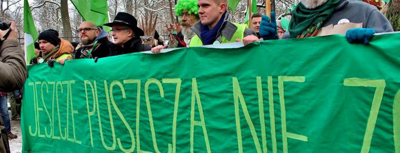 Puszcza Białowieska jest dobrem narodowym - zatrzymajmy jej bezpowrotną dewastację!