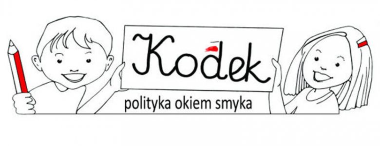 Polityka okiem smyka
