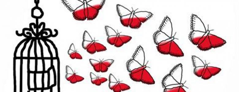 Motyl Wolności