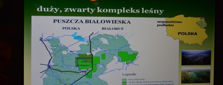 Władza puszczy nie odpuszcza