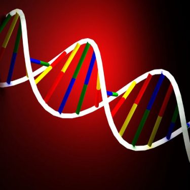 DNA a nacjonalizm