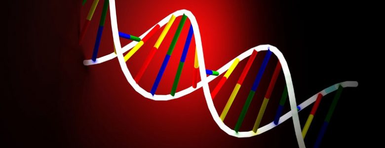 DNA a nacjonalizm