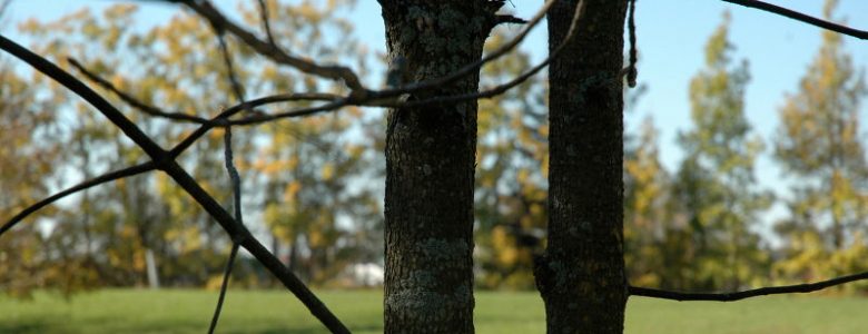 Niekończąca się opowieść o Smoleńsku